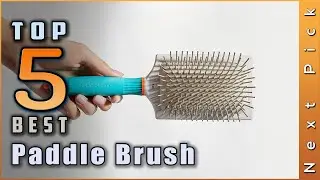 Top 5 Picks Best Paddle Brush Reviews in 2022 |
