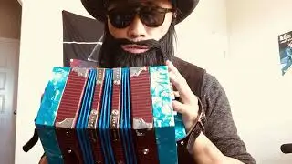 The Amazing $30 Concertina From Temu! Quality Review