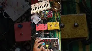 I made all of these instruments.