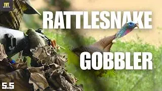 The CRAFTIEST GOBBLER I've ever hunted - GEORGIA PUBLIC LAND TURKEY HUNTING