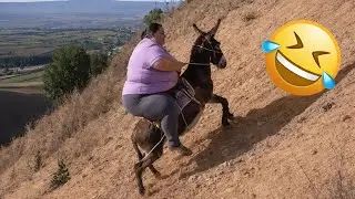 Попробуйте не засмеяться 😂 100 суперсмешных мемов, эпичных провалов и розыгрышей, которых вы не о...