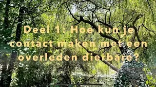 Deel 1: ✨Hoe kun je contact maken met een overleden dierbare?