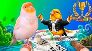 Teach Your Canary to Lead: A Chorus of Natural Sounds (Russian Singing Style) - Jan 2026