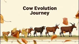 Cow ~🐄 125 million years evolution journey 🌎