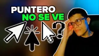 Puntero Mouse No Se Ve Solucion