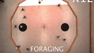 Foraging