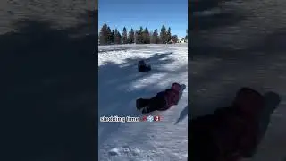 Sledding ❄️ #canadalife #canadavlog