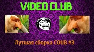 Best Compilation Coub of September Лучшие Coub Сентебря 2015 года Часть 3 Сборка приколов