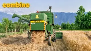Wheat Harvest : A Breathtaking Experience with a Combine Harvester