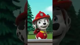 Pups bring all the Animals back to the Farm! #PAWPatrol #Shorts
