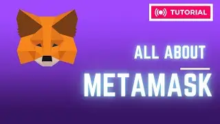 Metamask Tutorial Latest 2023 (Explained in नेपाली) | One of the Best Crypto Wallets | Episode 45