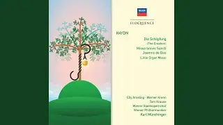 Haydn: The Creation (Die Sch&ouml;pfung) , H.XI/II - Overture-The Representation of Chaos