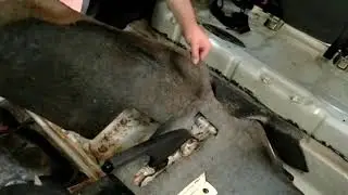 Limpieza de coche inundado-Limpiar vehículo inundado