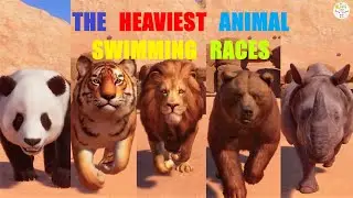 THE HEAVIEST ANIMALS SWIMMING RACES IN PLANET ZOO. GIANT PANDA VS HIMALAYA BEAR VS RHINOCEROS VS ETC
