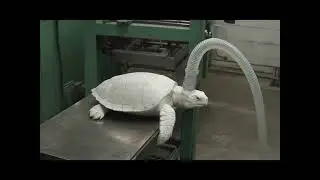 How Toothpaste Is Made