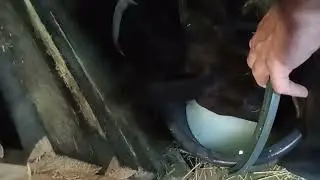АЙ, ГУТЯ, ЧТО ТЫ ТВОРИШЬ ???