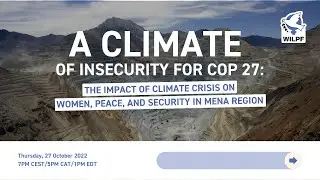 A Climate of Insecurity for Cop27&mdash;Impact of the Climate Crisis on Women, Peace, and Security in MENA