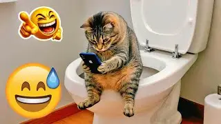 You Can’t Stop Laughing At These Pets 🤣 | Funniest Cats & Dogs 2026 😂 #funny_videos #animals