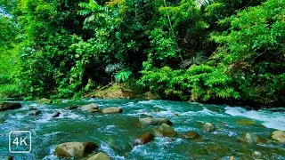 MEDITATION & STRESS RELIEF RELAXING WATER SOUNDS FOR DEEP SLEEP, NATURE’S FLOW LIVE