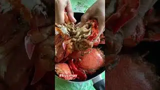 RARE CRAB SPECIES: KUSIMAY ONLY IN THE PHILIPPINES #shortvideo #short #shorts