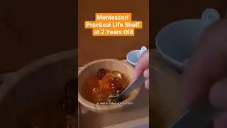 2 YEAR OLD PRACTICAL LIFE MONTESSORI SHELF ROTATION #shorts #montessoriathome #practicallife