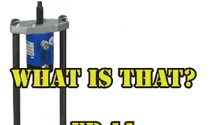 #shorts #whatisthis #pestcontrolguys   What is that? Ep 11