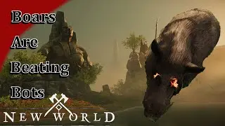 New World - Players Beat Bots with Boars