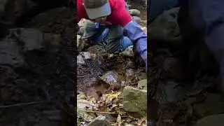 So you wanna be a gold miner? You gotta fill in yer holes!!!