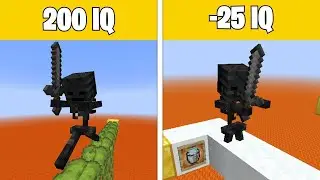 Minecraft Wither Skeleton IQ Test 2! 😂 #Shorts