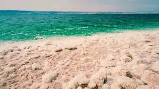 This Music Heals my Heart 💖 Bird Song, Gentle Harp and Flute - So Relaxing!
