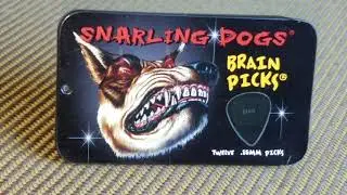 Snarling Dogs Brain Picks! Guitar pick review
