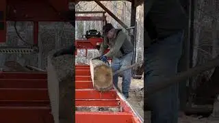 #shortvideo!! Turning next #poplarlog!! 180 degrees to saw 3rd Slab!!