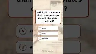 Викторина по США #usaquiz #shortsquiz #shorts #gkquiz #usashorts #triviaquiz #quiz