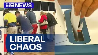 NSW Liberals miss deadline for council candidate nominations | 9 News Australia