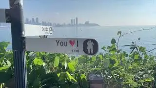 Hiking Along Busan's Coast via Igidae
