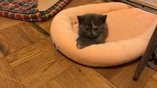 МКС 21 лютого