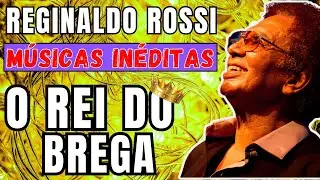 BREGASHOW BRASIL-FELICIDADE-REGINALDO ROSSI REI DO BREGA - #reginaldorossi #bregadeira