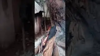 Great African Traditional Healer & Witch Doctor In Africa