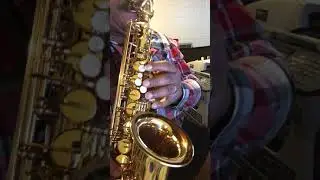 DEMON CHASER 30 SERIES PROFESSIONAL GOLD ALTO SAXOPHONE