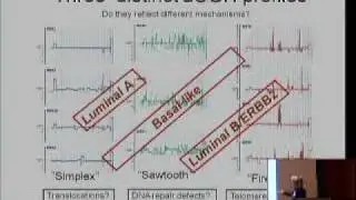 Exploring the Systems Pathology/Biology of Breast Cancer