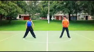 Micro yapa