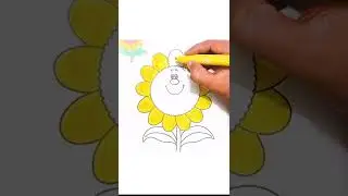 How do you color a sunflower?