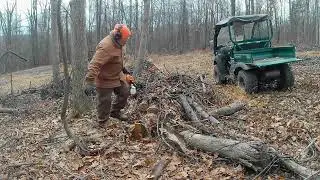 #901 Cutting Into The Mess For Firewood, And More Problems With The 610 Mule!