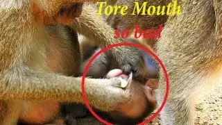 Much Pity baby Maci nearly rupture mouth, Because of food DeeDee Mistreated & Tore mouth Maci badly