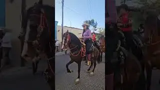 🔥🐴Caballo El Arenal🐴🔥 Montado Por Zulema Ferrer  🐴🤠De  Yeguada Ferrer🤠🐴