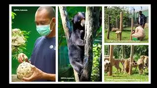 AfA Conference 2021 | Outreach for improving animal welfare