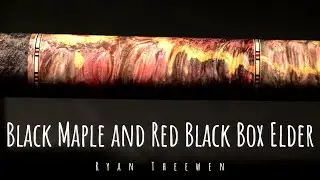 Black Maple and Red Black Box Elder - Ryan Theewen - v2