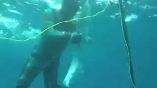 Florida Spearfishing with Andre Spearguns