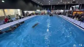 Go Diving show pool