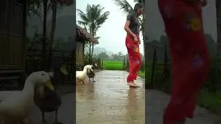 Heavy Rain in the Village Catching Ducks in the Rain Village Life Moments #rainsounds #sleepmusic